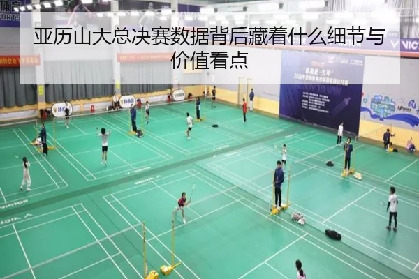 亚历山大总决赛数据背后藏着什么细节与价值看点